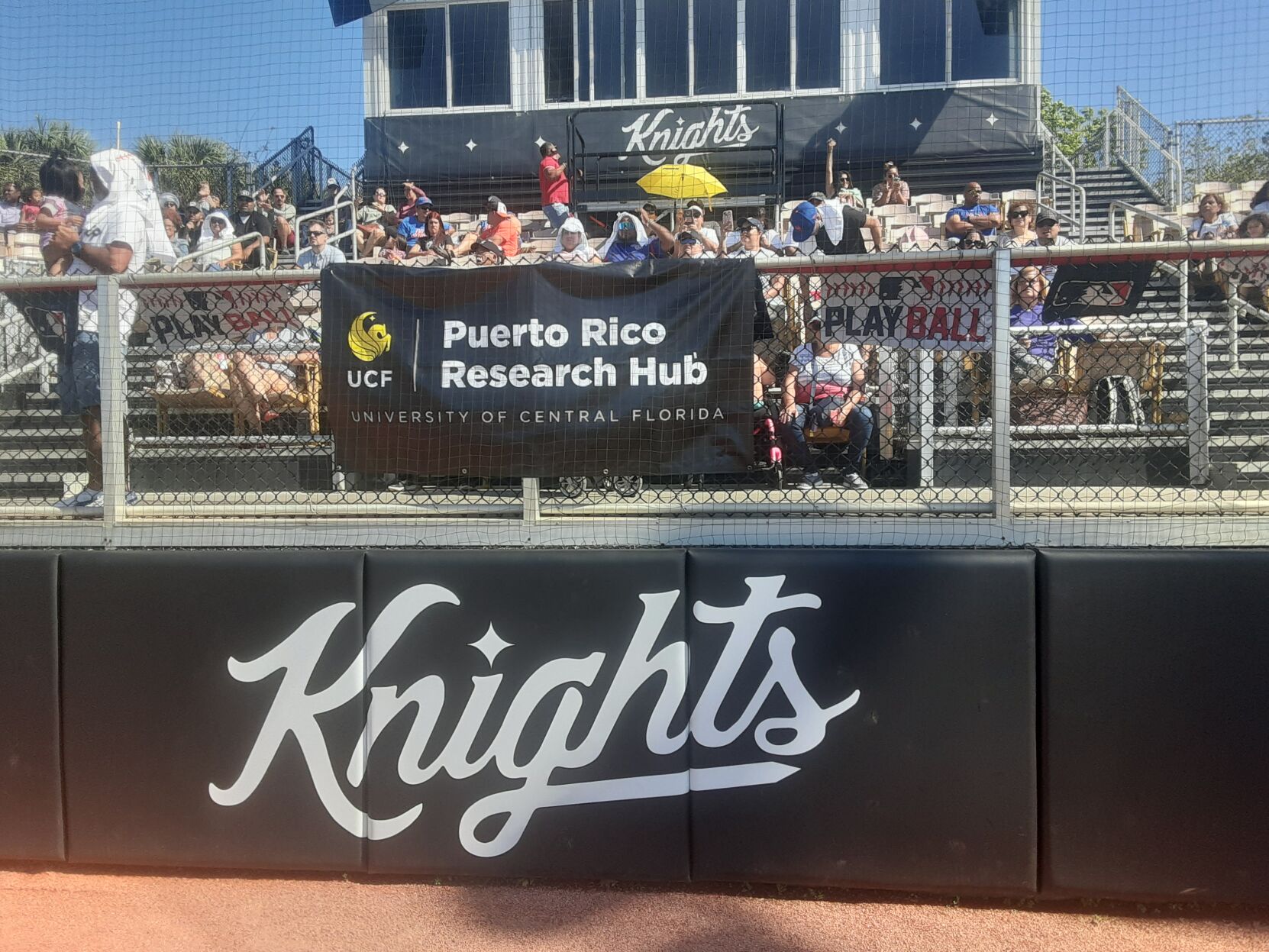 Puerto Rico Baseball Day